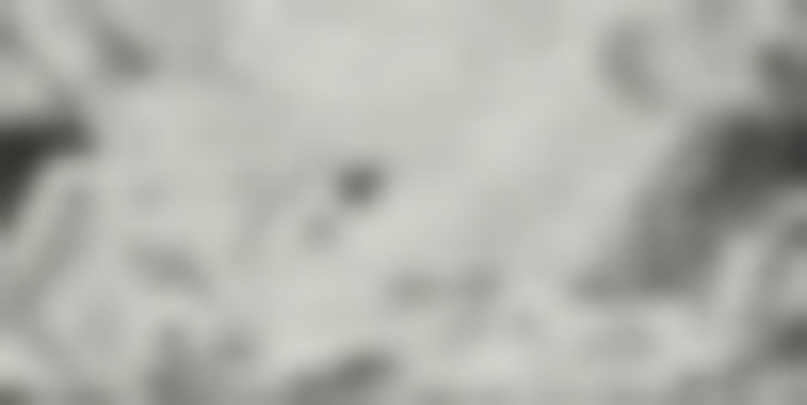 Tissu