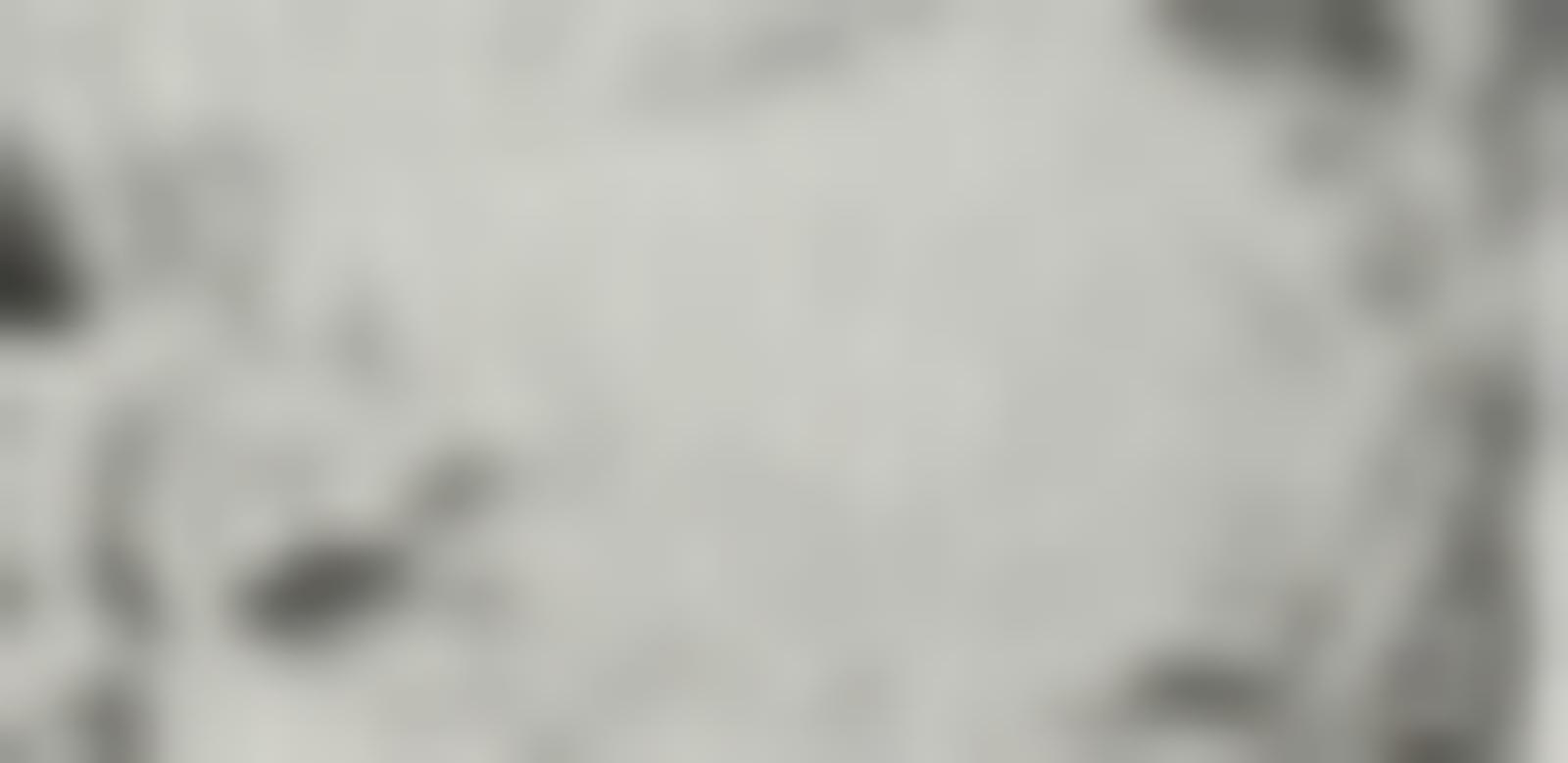 Tissu