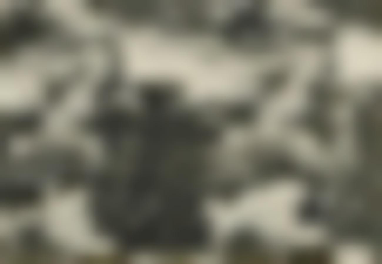 Tissu