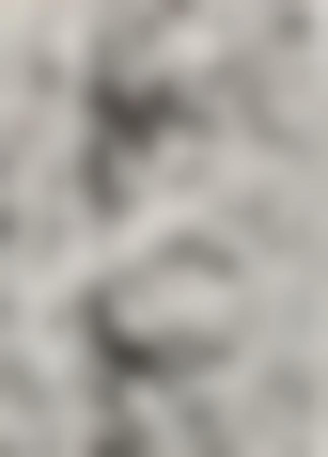 Tissu