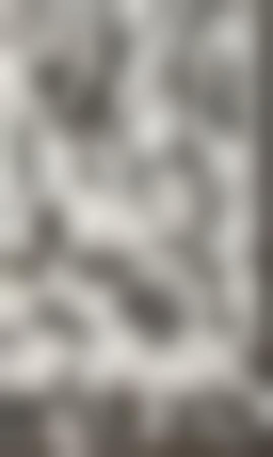 Tissu