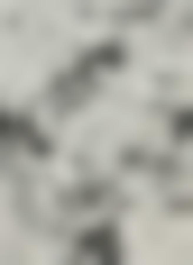 Tissu